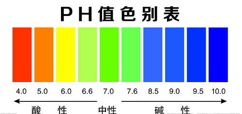 1644988810163168.png image.png