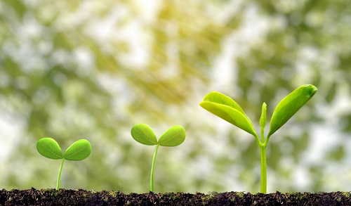 1645068696102540.png image.png