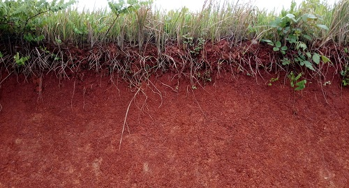 1645668692493609.png image.png