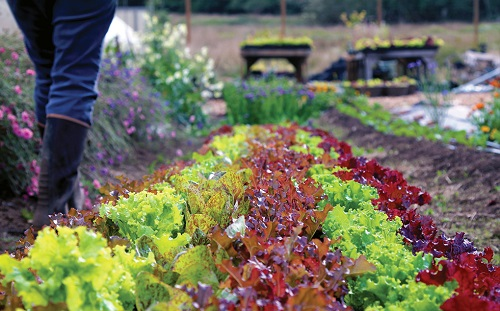 1646209926196369.png image.png