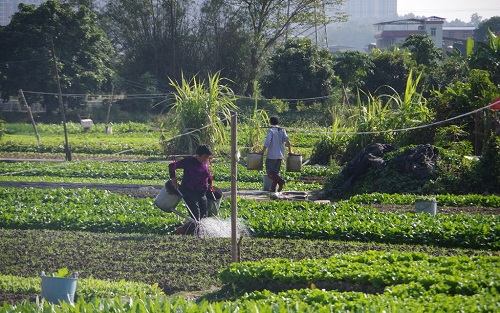 1650943312907131.png image.png