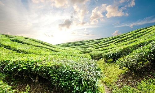 1651814609631356.png image.png