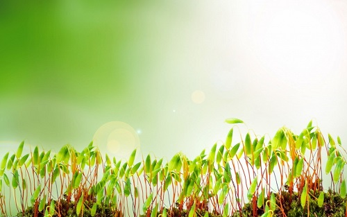 1654569900713422.png image.png