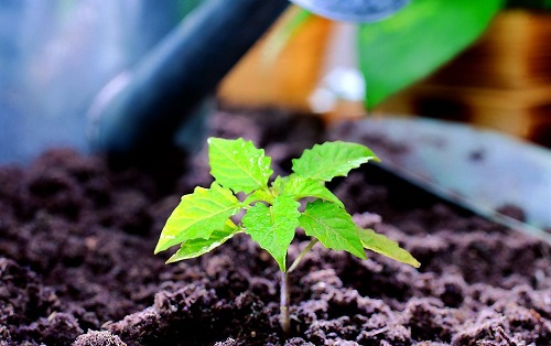 1654656314563636.png image.png