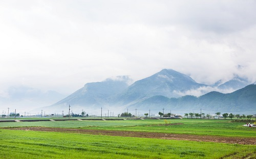 1661310861448766.png image.png