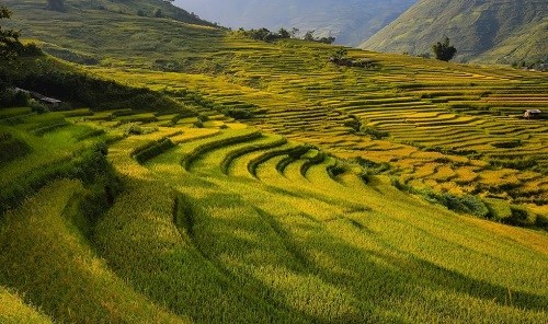 1663643262122245.png image.png