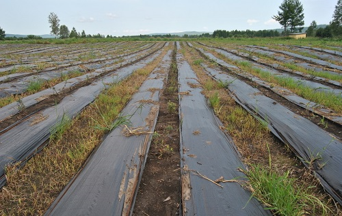 1676533611538769.png image.png