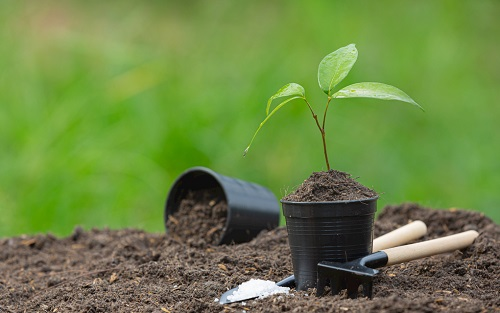 1676876093600873.png image.png