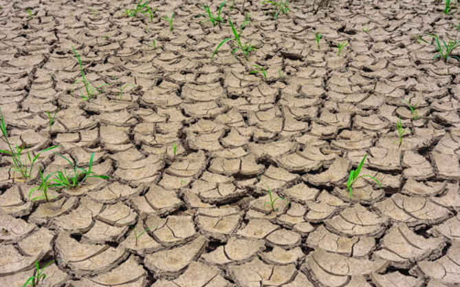 1679553587122842.png 1679553587122842.png