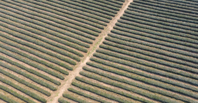 1683602779214845.png 1683602779214845.png